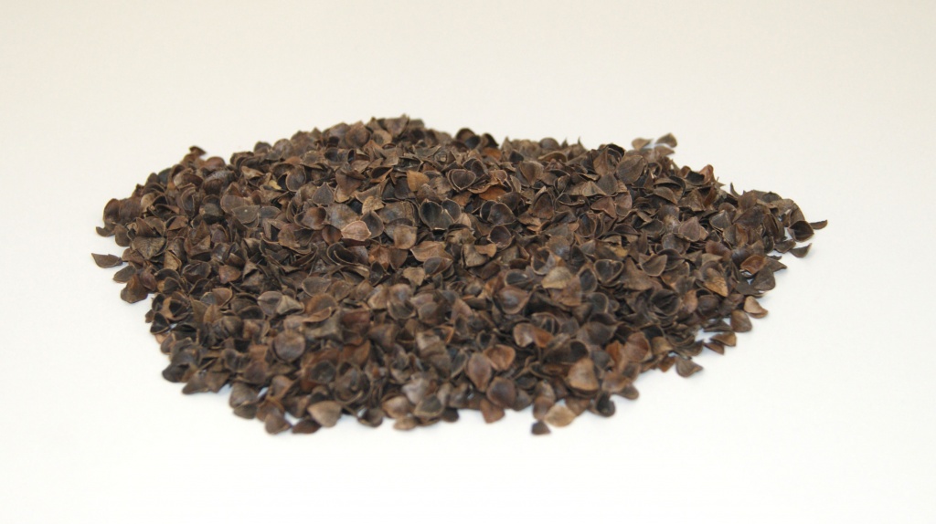 лузга гречихи.jpg